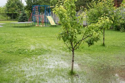 Wet Yard Solutions - Wet Yard Solutions Green Bay, Wisconsin
